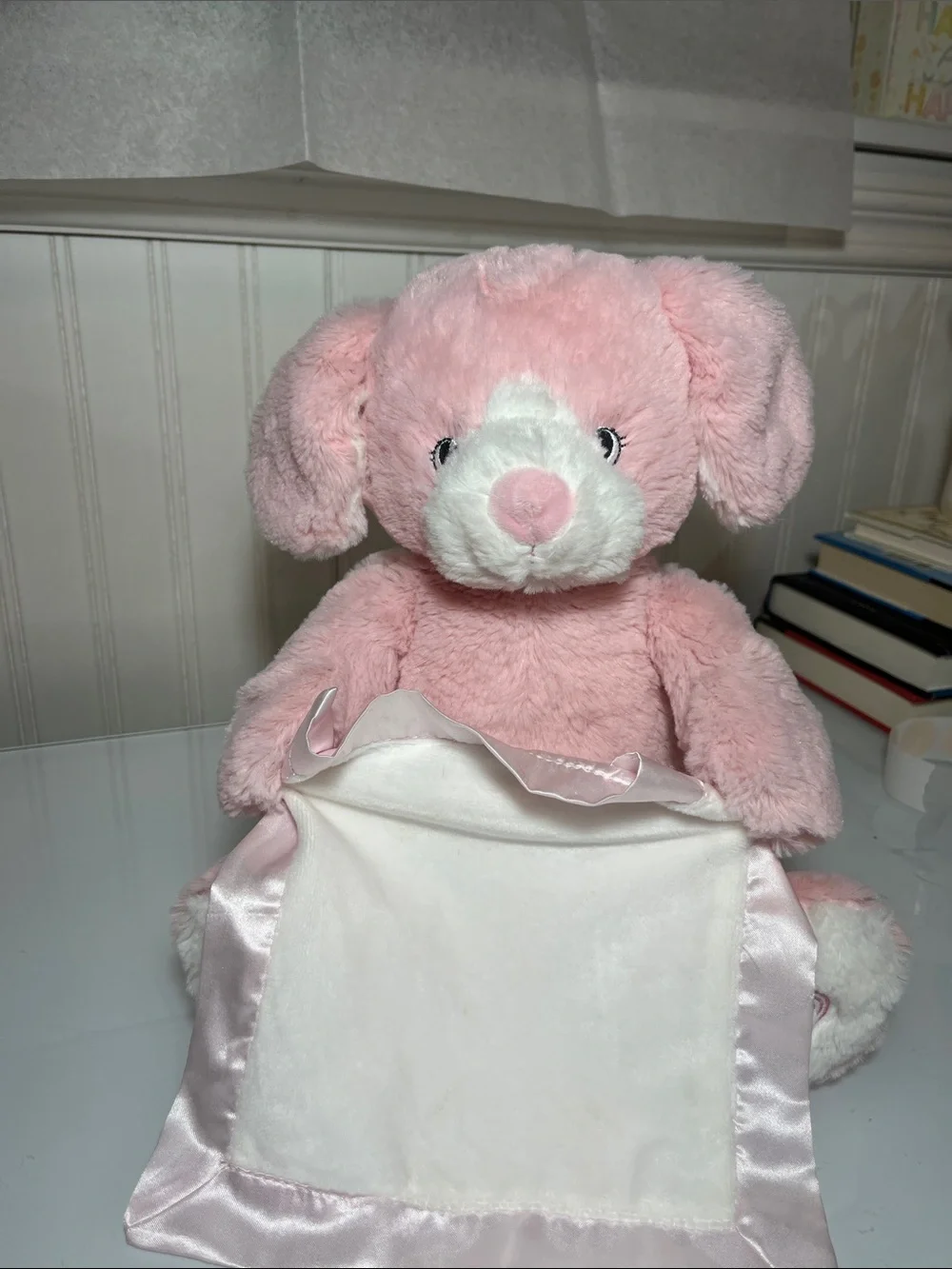 Pink Plush Puppy Lovey with Satin Trim Peek-A-Boo Stuffed Animal